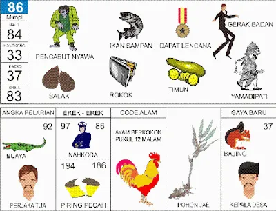 Buku Mimpi Erek Erek 2D Bergambar Nomor 86 Kofitoto - Tafsir Mimpi Terlengkap